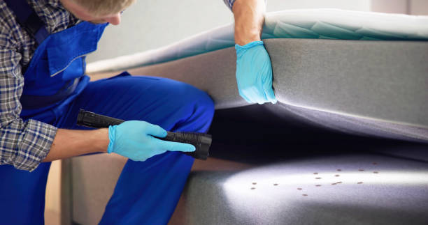 Best Pest Control Near Me  in Walters, OK