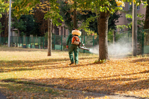 Best Affordable Pest Control Services  in Walters, OK