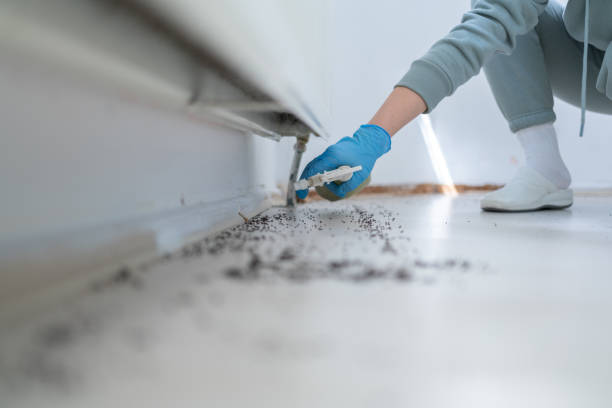 Best Best Pest Control Companies  in Walters, OK